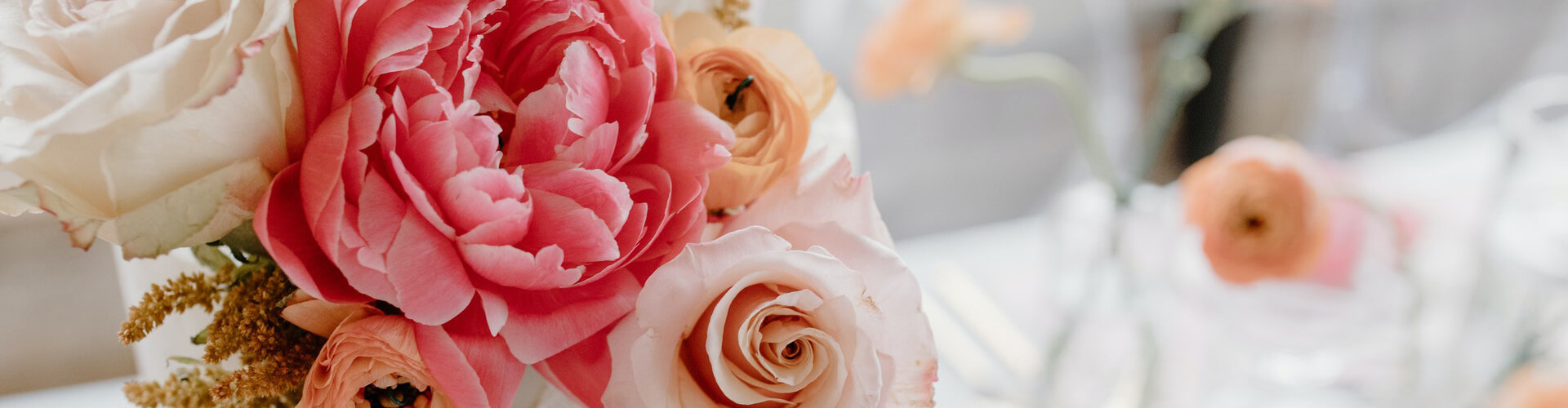 package-banner